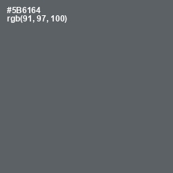 #5B6164 - Shuttle Gray Color Image