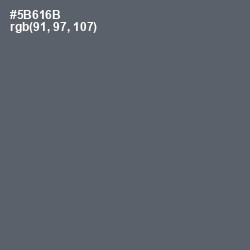 #5B616B - Shuttle Gray Color Image