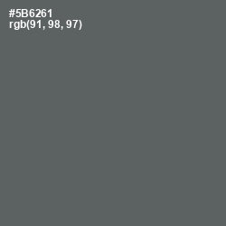 #5B6261 - Shuttle Gray Color Image