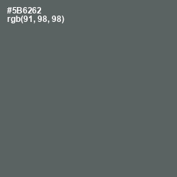 #5B6262 - Shuttle Gray Color Image