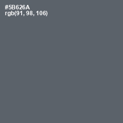 #5B626A - Shuttle Gray Color Image