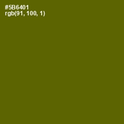 #5B6401 - Green Leaf Color Image