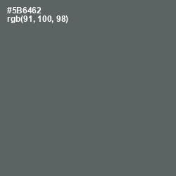 #5B6462 - Shuttle Gray Color Image