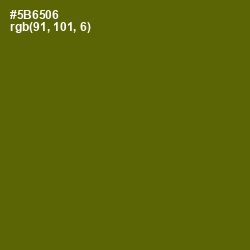 #5B6506 - Green Leaf Color Image