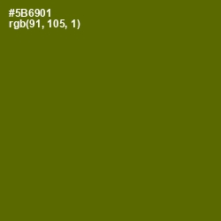 #5B6901 - Green Leaf Color Image