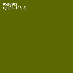 #5B6902 - Green Leaf Color Image