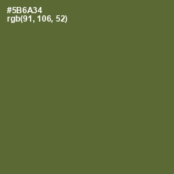 #5B6A34 - Chalet Green Color Image