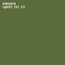 #5B6B39 - Chalet Green Color Image