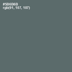 #5B6B6B - Shuttle Gray Color Image