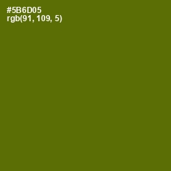 #5B6D05 - Green Leaf Color Image