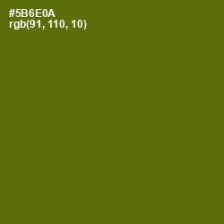 #5B6E0A - Green Leaf Color Image