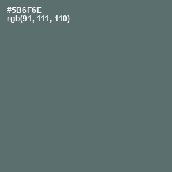 #5B6F6E - Shuttle Gray Color Image