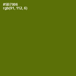 #5B7006 - Green Leaf Color Image