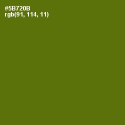 #5B720B - Green Leaf Color Image