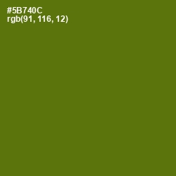 #5B740C - Green Leaf Color Image