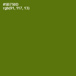 #5B750D - Green Leaf Color Image