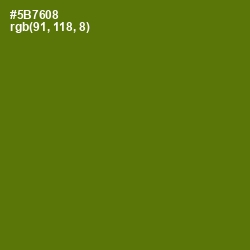 #5B7608 - Green Leaf Color Image