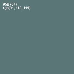 #5B7677 - Cutty Sark Color Image