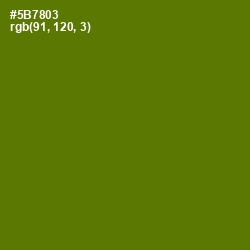 #5B7803 - Green Leaf Color Image