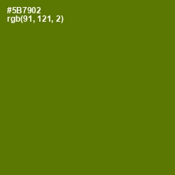#5B7902 - Green Leaf Color Image