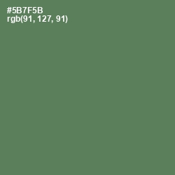 #5B7F5B - Cactus Color Image