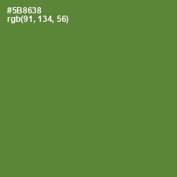 #5B8638 - Olive Drab Color Image