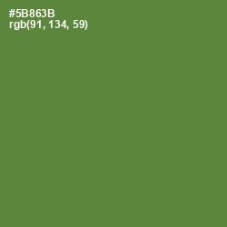 #5B863B - Olive Drab Color Image