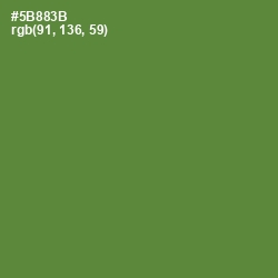 #5B883B - Olive Drab Color Image