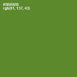 #5B892B - Olive Drab Color Image