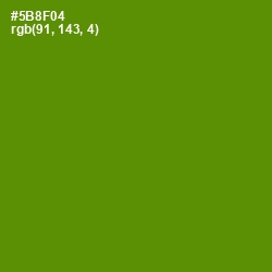 #5B8F04 - Vida Loca Color Image