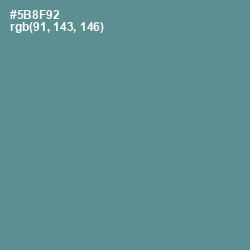 #5B8F92 - Smalt Blue Color Image