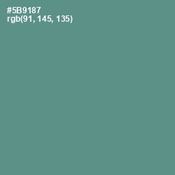 #5B9187 - Smalt Blue Color Image