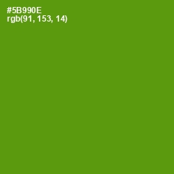 #5B990E - Vida Loca Color Image