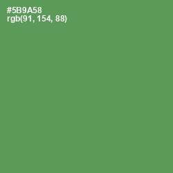 #5B9A58 - Fruit Salad Color Image