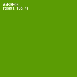 #5B9B04 - Vida Loca Color Image