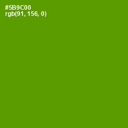 #5B9C00 - Vida Loca Color Image