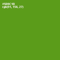 #5B9C1B - Vida Loca Color Image