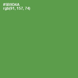 #5B9D4A - Fruit Salad Color Image