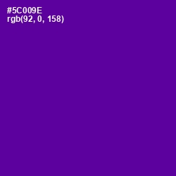 #5C009E - Pigment Indigo Color Image