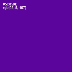 #5C059D - Pigment Indigo Color Image