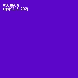 #5C06CA - Purple Heart Color Image