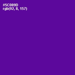 #5C089D - Pigment Indigo Color Image