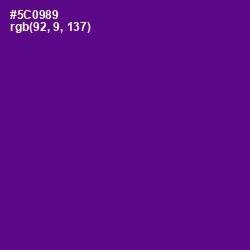 #5C0989 - Pigment Indigo Color Image