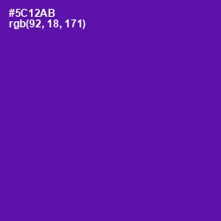 #5C12AB - Purple Color Image