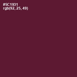 #5C1931 - Wine Berry Color Image