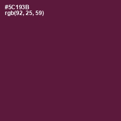 #5C193B - Wine Berry Color Image