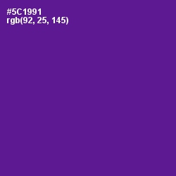 #5C1991 - Pigment Indigo Color Image