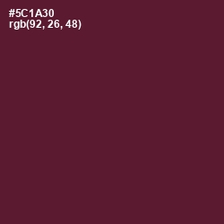 #5C1A30 - Wine Berry Color Image