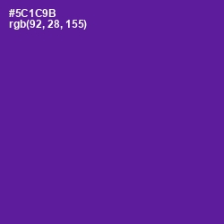 #5C1C9B - Pigment Indigo Color Image