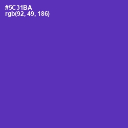 #5C31BA - Royal Purple Color Image